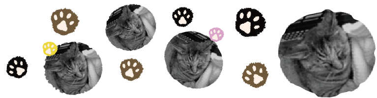 癒されています・・・(ΦωΦ)