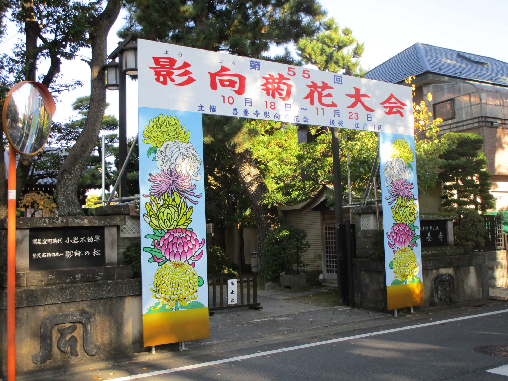 菊花展～IN善養寺～