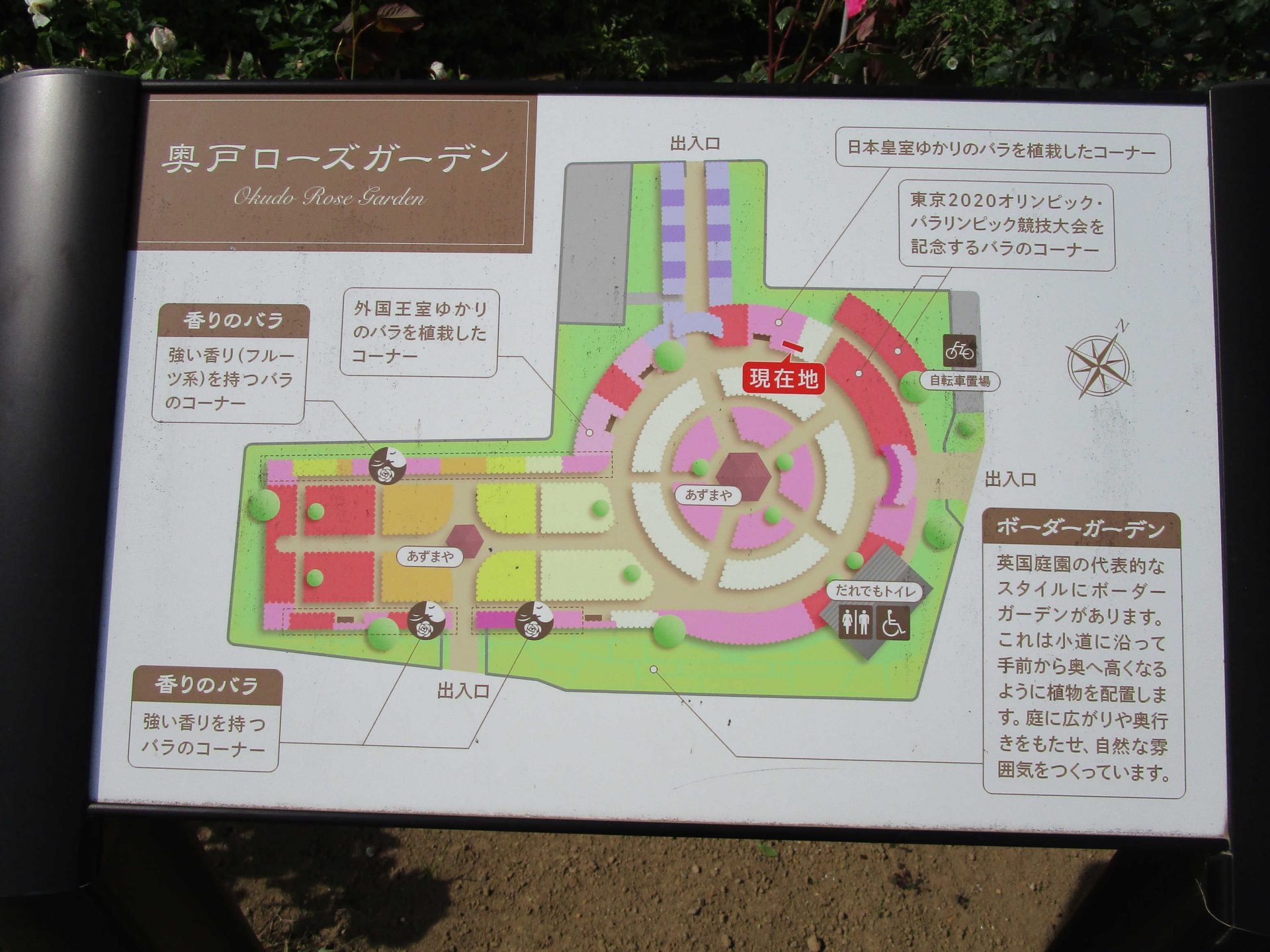 トーリツデイサービス～お出かけ～